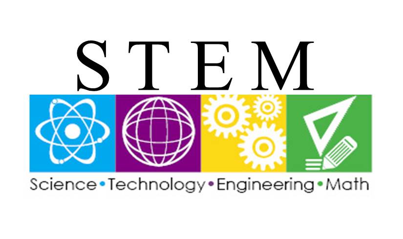 Why are STEM courses most sought after